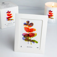 Mintea Greeting Card Print