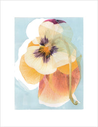 Popsy Art Print