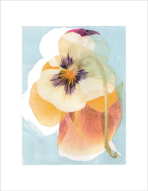 Popsy Art Print