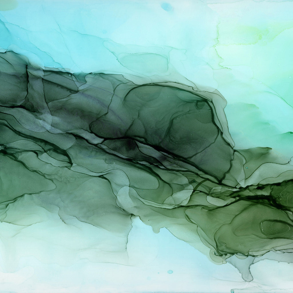Evergreen Shore